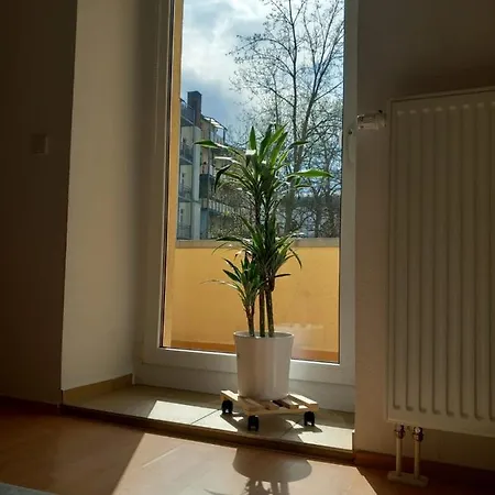 Im Gruenderzeitviertel Mit Stellplatz Apartment Chemnitz