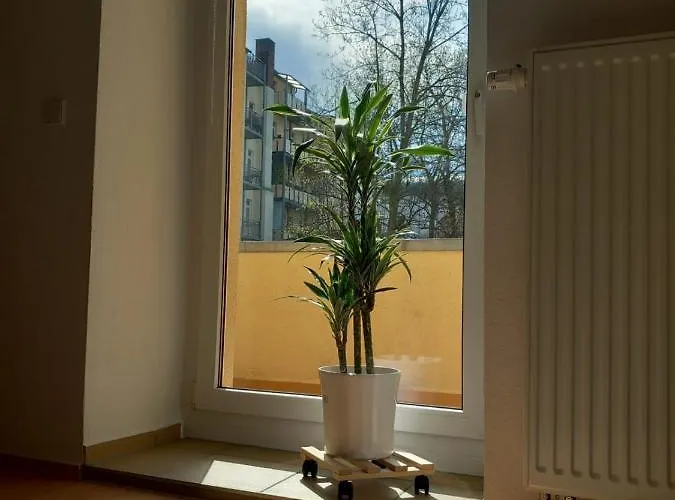 Im Gruenderzeitviertel Mit Stellplatz Appartamento Chemnitz